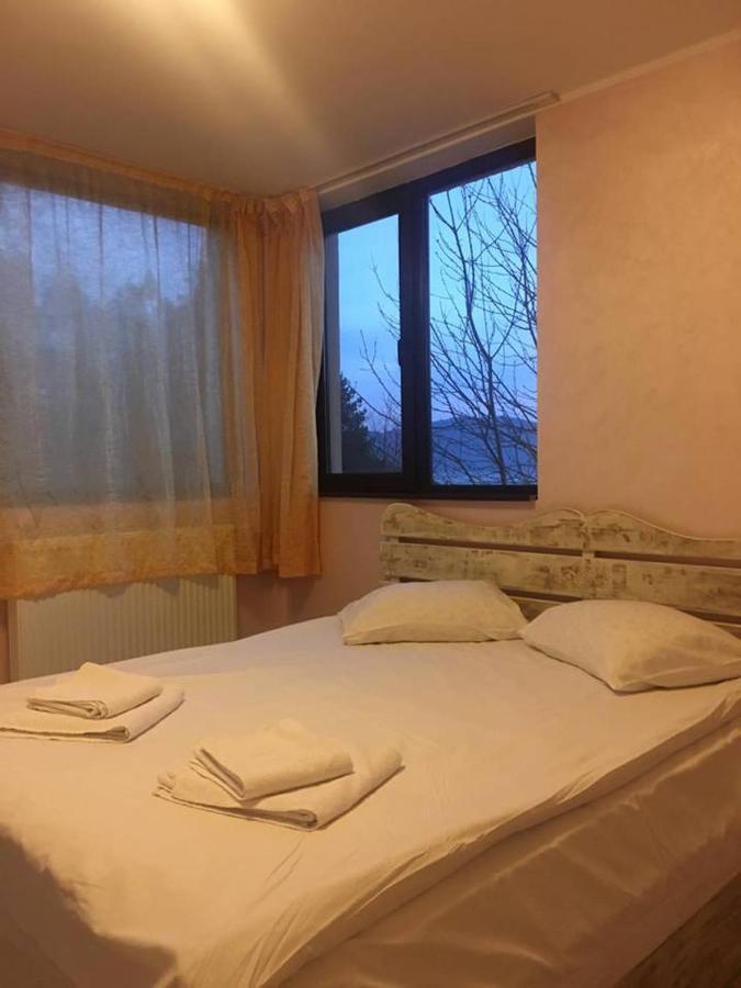 Pensiunea Lostrita Pensiune 3*