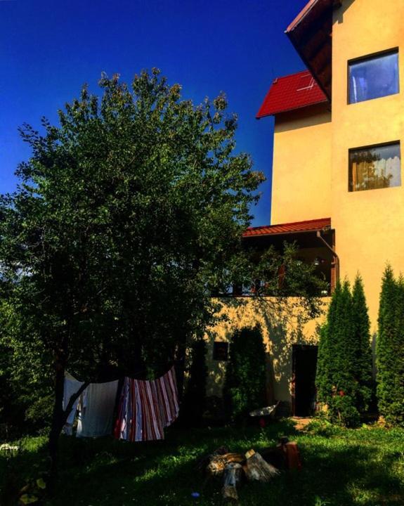 Pensiunea Lostrita Buhalnita