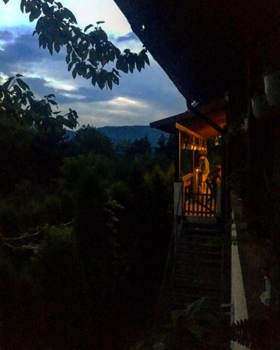 Pensiunea Lostrita Pensiune 3*